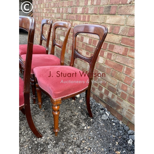 79 - A set of six Victorian mahogany balloon back chairs with red upholstered seats