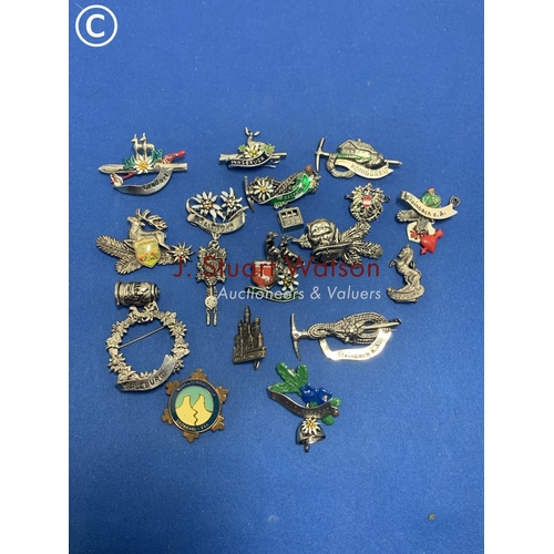 880 - Alpine souvenir brooches