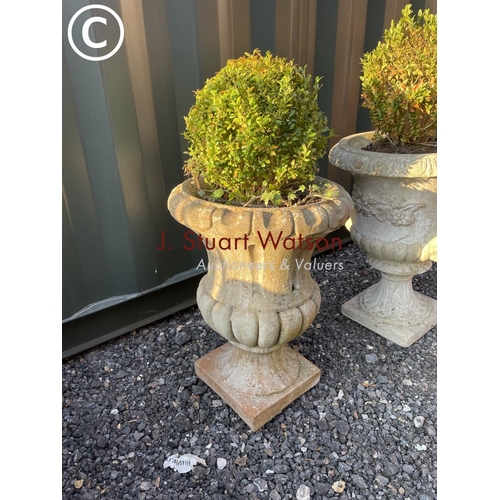 337 - A near pair of concrete urns each planted with ball shaped topiary pot height 60cm