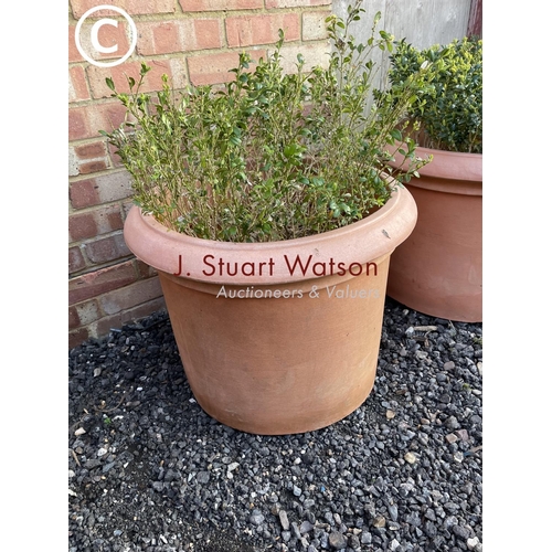 351 - A pair of faux terracotta plastic tub planters with shrubs 60cm