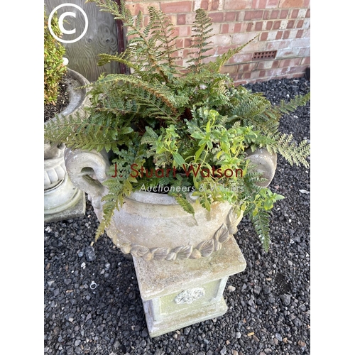 355 - A decorative grecian style urn planted with fern standing on square form plinth base total height 80... 