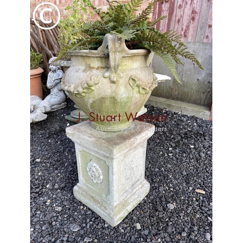 355 - A decorative grecian style urn planted with fern standing on square form plinth base total height 80... 