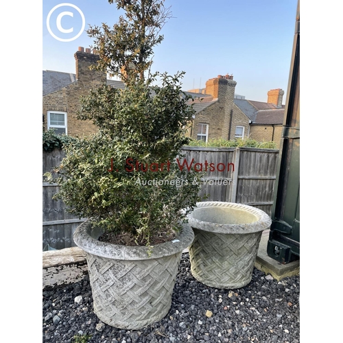 362 - A pair of large cast concrete circular planters decorated with lattice pattern one plamted with topi... 