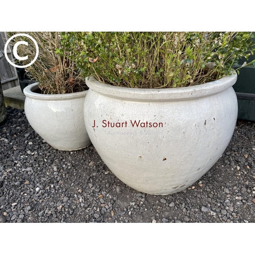 363 - A matching large and small grey glazed garden pots with topiary