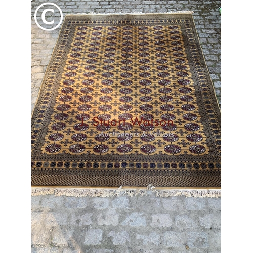 499d - Golden Brown carpet size 336 x 248 cms