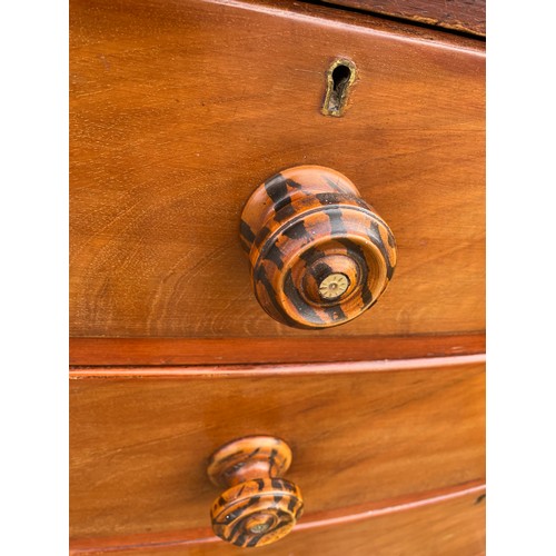 301 - A Victorian mahogany bow fronted chest of five drawers with tiger stripe handles