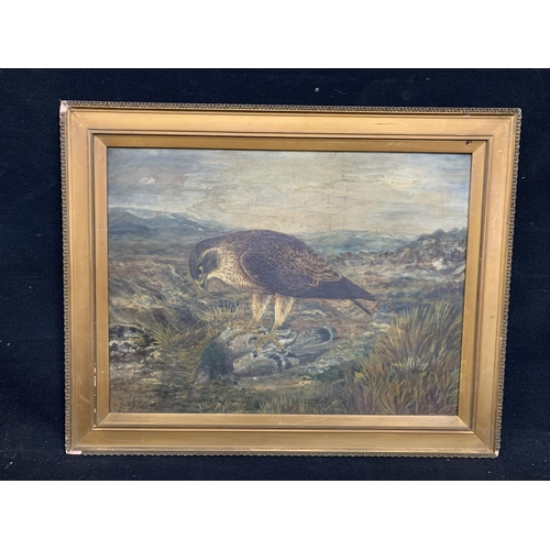 574 - Gilt framed picture of bird of prey, 73 x 58cms