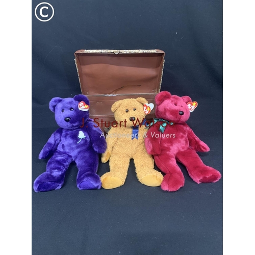 508 - Three Beanie Babies, Fuzz, Teddy and Princess Diana