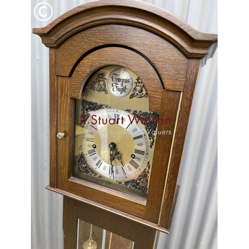 334 - A repro tempus fugit grandmother clock