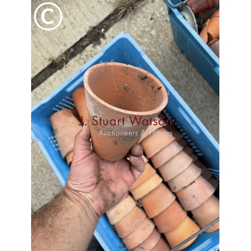 491 - A tray of approx 60 vintage terracotta garden pots