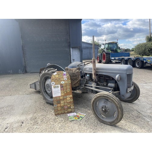 499 - EAP 986 A 1948 Ferguson TEA20 Petrol tractor. Offered for sale in behalf of the executors of decease... 