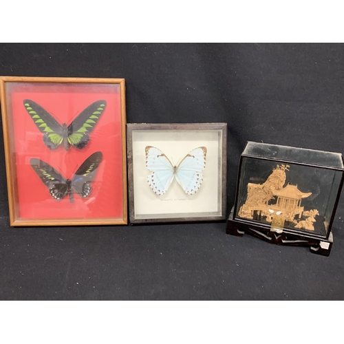 990 - Two framed butterflies and cork picturE