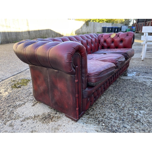 257 - An oxblood red leather chesterfield sofa for reupholstery