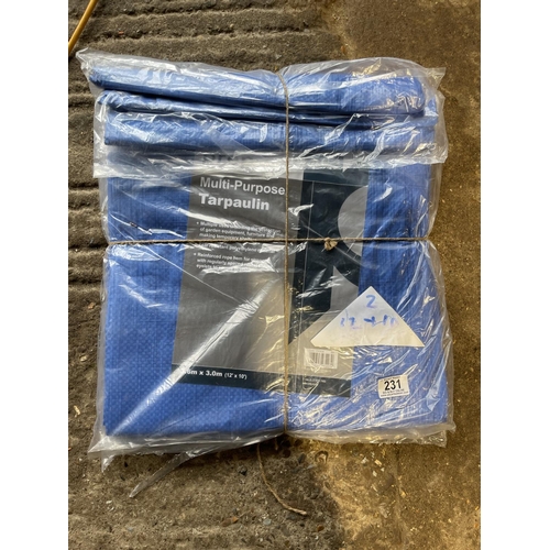 231 - 2 tarpaulin 12x10