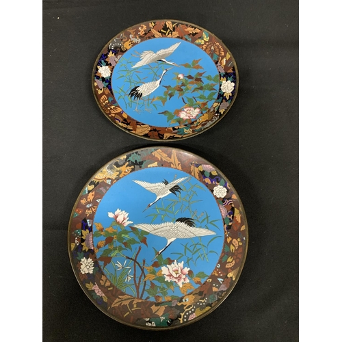 474 - Pair cloisonné plates, diameter 30cms