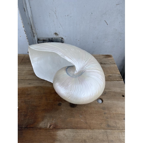 325 - New decorative white shell ornament