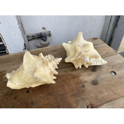 332 - A pair of new artificial conch shells .