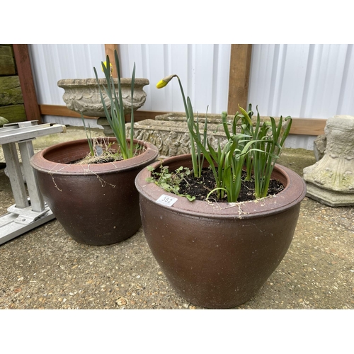 382 - Pair of salt glazed garden pots planted with spring daffodils