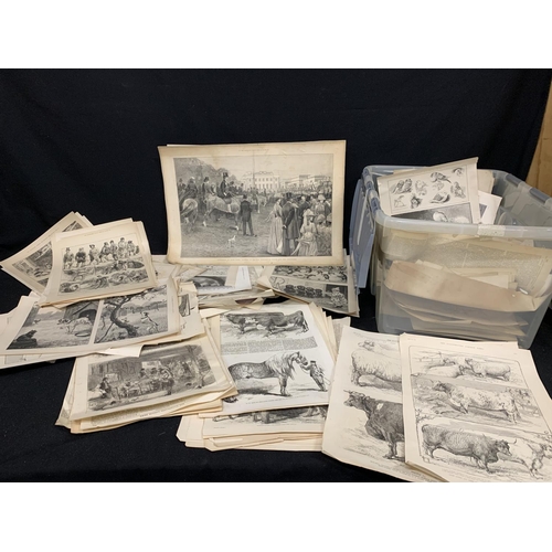 430 - Crate of pages and prints from The London Illustrated News dated circa 1880's