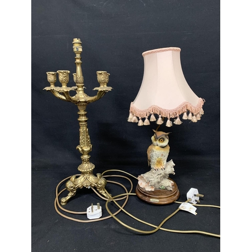 697 - Brass table lamp, height 60cms and owl table lamp