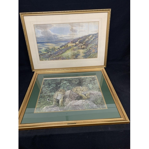 Framed Watercolour of sheep and print of leopard cubs by Simon Coombs