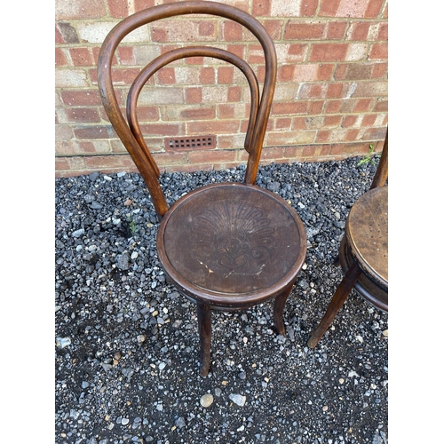 12 - A pair of bentwood chairs