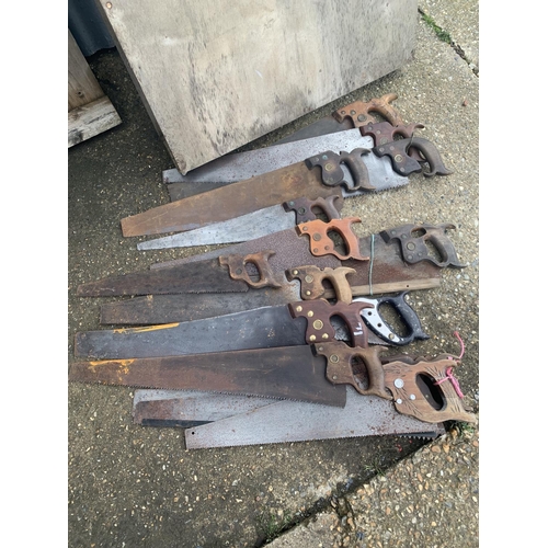 841 - Fifteen assorted hand saws including Diston