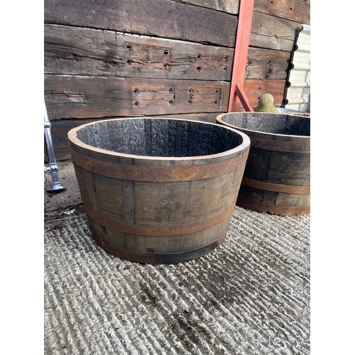 62a - A pair of Scottish oak half whiskey barrel planters