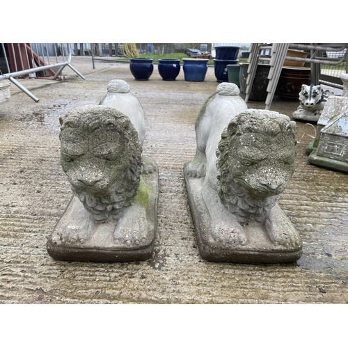 286 - A pair of concrete lion statues