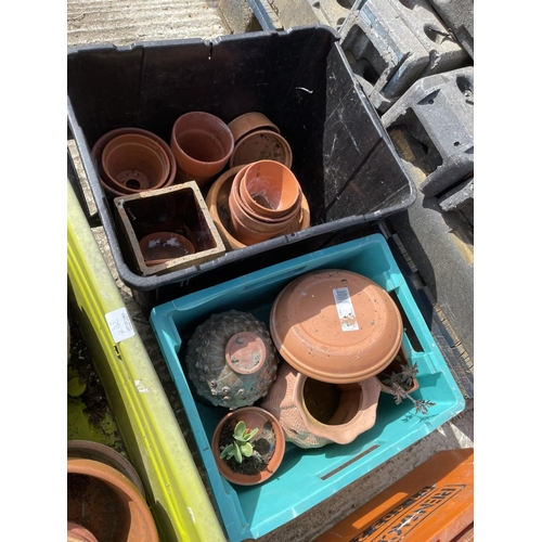 381h - Four large crates of assorted modern terracotta pots