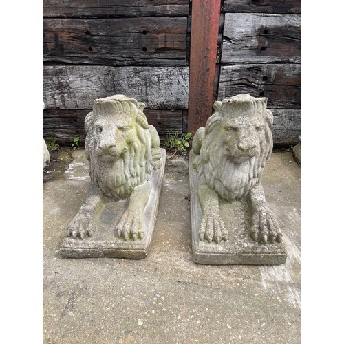 330A - A pair of very large concrete recumbent  lion garden ornaments. 90 cms long x 32 cms wide x 50 cms h... 