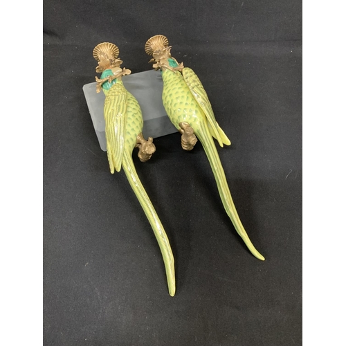 698 - Pair Meissen style porcelain and gilt brass wall hanging parrot candlesticks, length 47cms