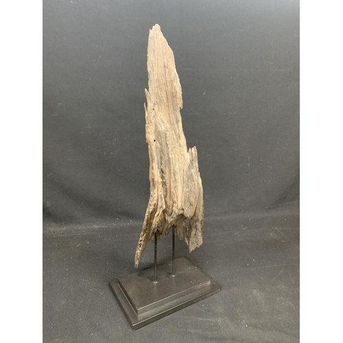 911 - Driftwood sculpture height 67 cms