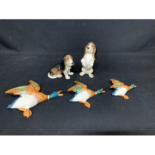 576 - Flight of 3 Beswick ducks, smallest a/f and 2 Sylvac Basset hounds