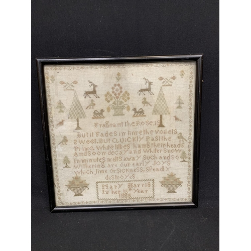 727 - Framed sampler dated 1885 by Mary Harris, 35 x 35cms