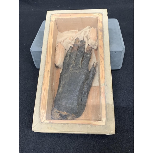 742 - Antique mummified hand (size of box 13 x 24 cms)