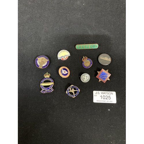 1025 - Collection of Enamel Badges