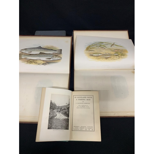 565 - British Freshwater Fish, volumes 1 and 2, 1st Edition, Rev. Haughton 1879 and 1 other fishing book