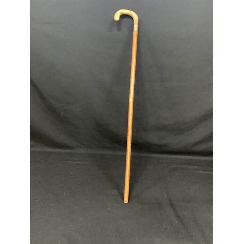 507 - Hallmarked 9ct Gold banded horn handled walking stick, length 92cms