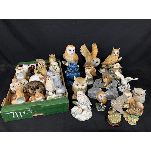 711 - Large collection of Owl figures (2)