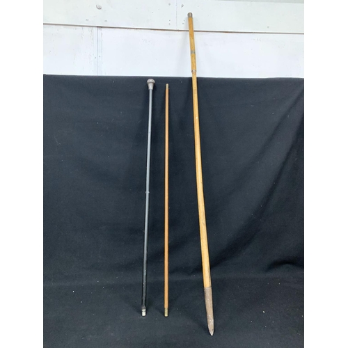 370 - Silver topped walking cane, Rabone and Sons, measure stick no 1035 and Silver topped and banded matc... 