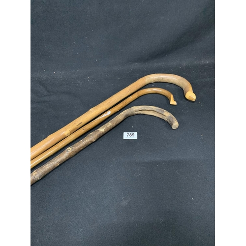 Long hiking stick and two walking sticks