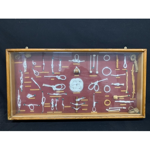 580 - Wall hanging display case of knots, 95 x 48cms