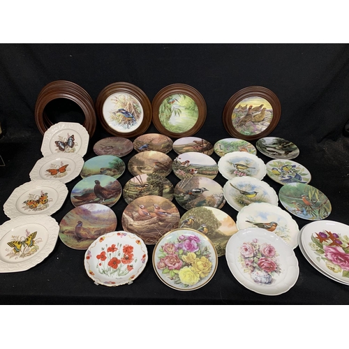 612 - Collection 31 of Bird, butterfly and floral collectors plates, including Royal Doulton and Royal Alb... 