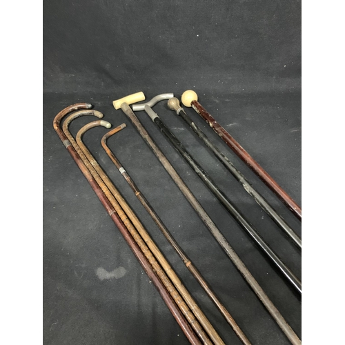 673 - 8 walking sticks