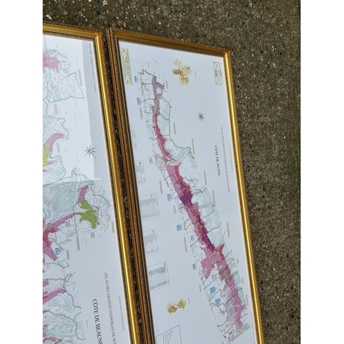 193 - Two large gilt framed maps of regions of France 150x60