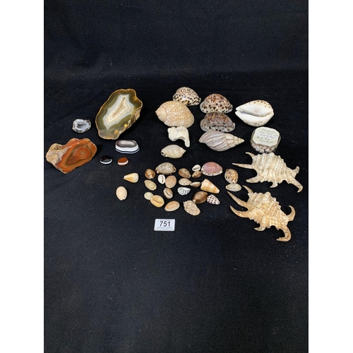 751 - Polished specimen stones and collection of seashells (2)