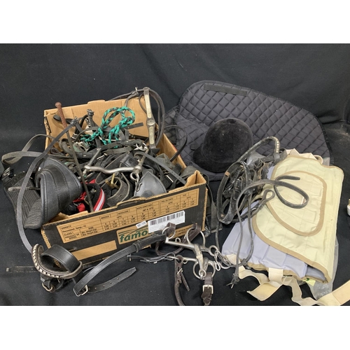 880 - Box of assorted Tack, bits, numnah and back protector