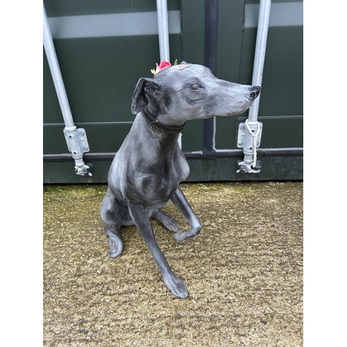 242 - A sitting grey hound statue 60cm