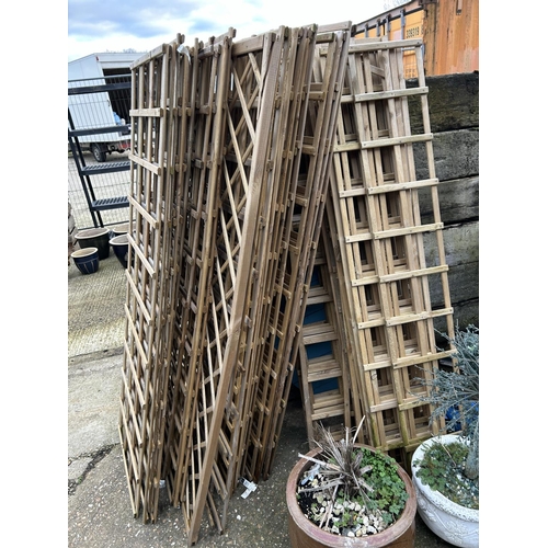 345 - approx 40 new trellis sections